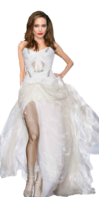 Angeline Jolie Wedding Dresses